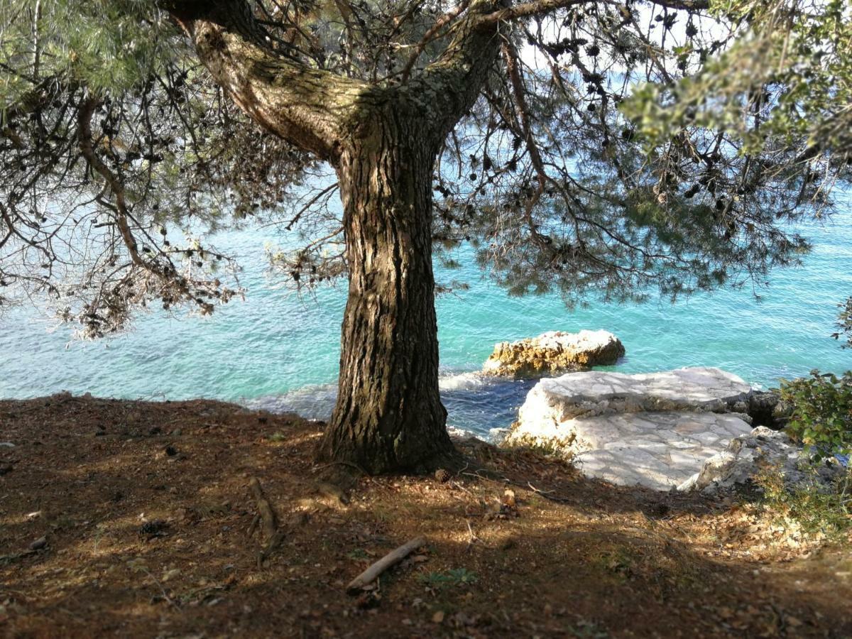 Apartmán App Roko Poreč Exteriér fotografie